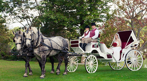 wedding horse drawn carriage